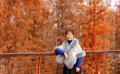 绿巨人千层浪樱桃秋葵黄瓜污